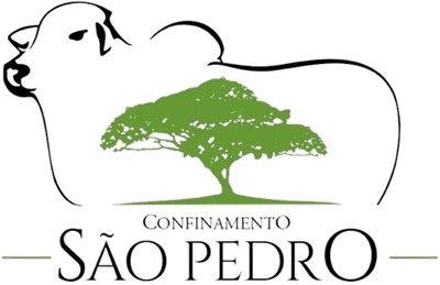 Confinamento São Pedro
